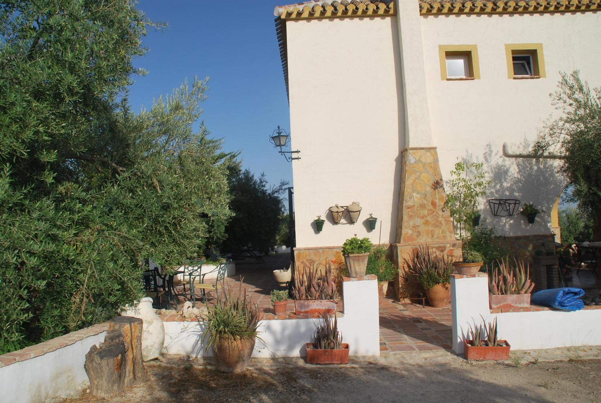 Agroturismo Ecologico El Cortijillo Luque Dış mekan fotoğraf