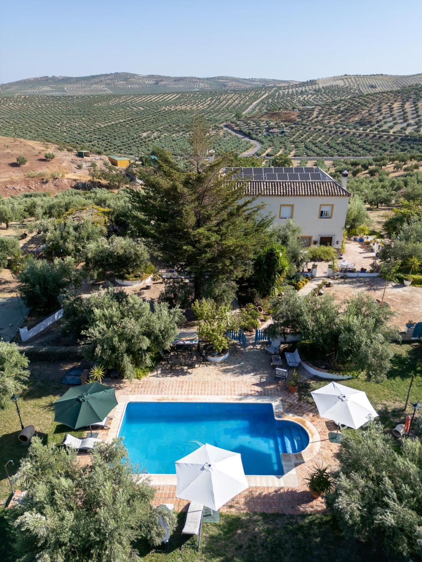 Agroturismo Ecologico El Cortijillo Luque Dış mekan fotoğraf