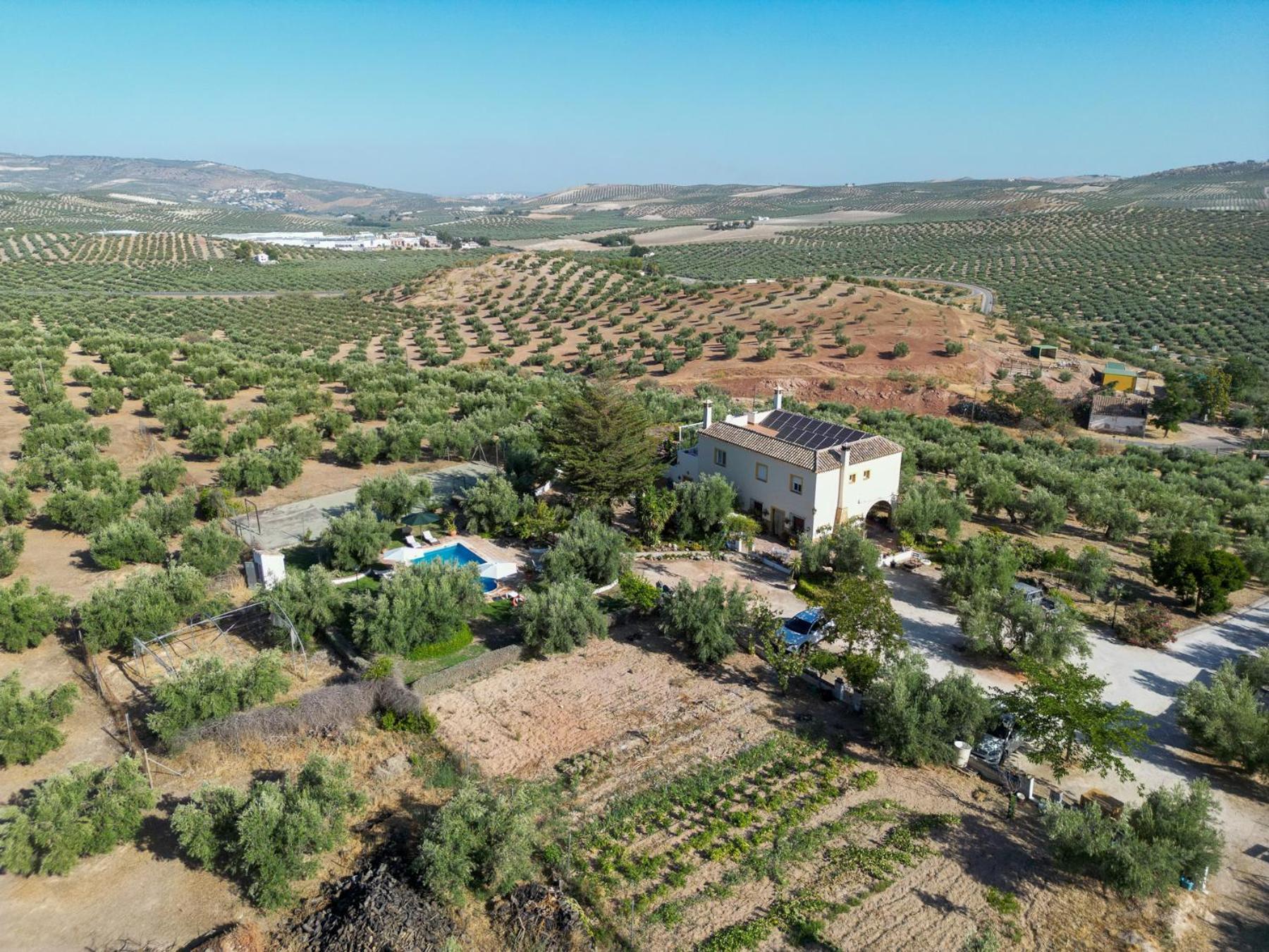 Agroturismo Ecologico El Cortijillo Luque Dış mekan fotoğraf