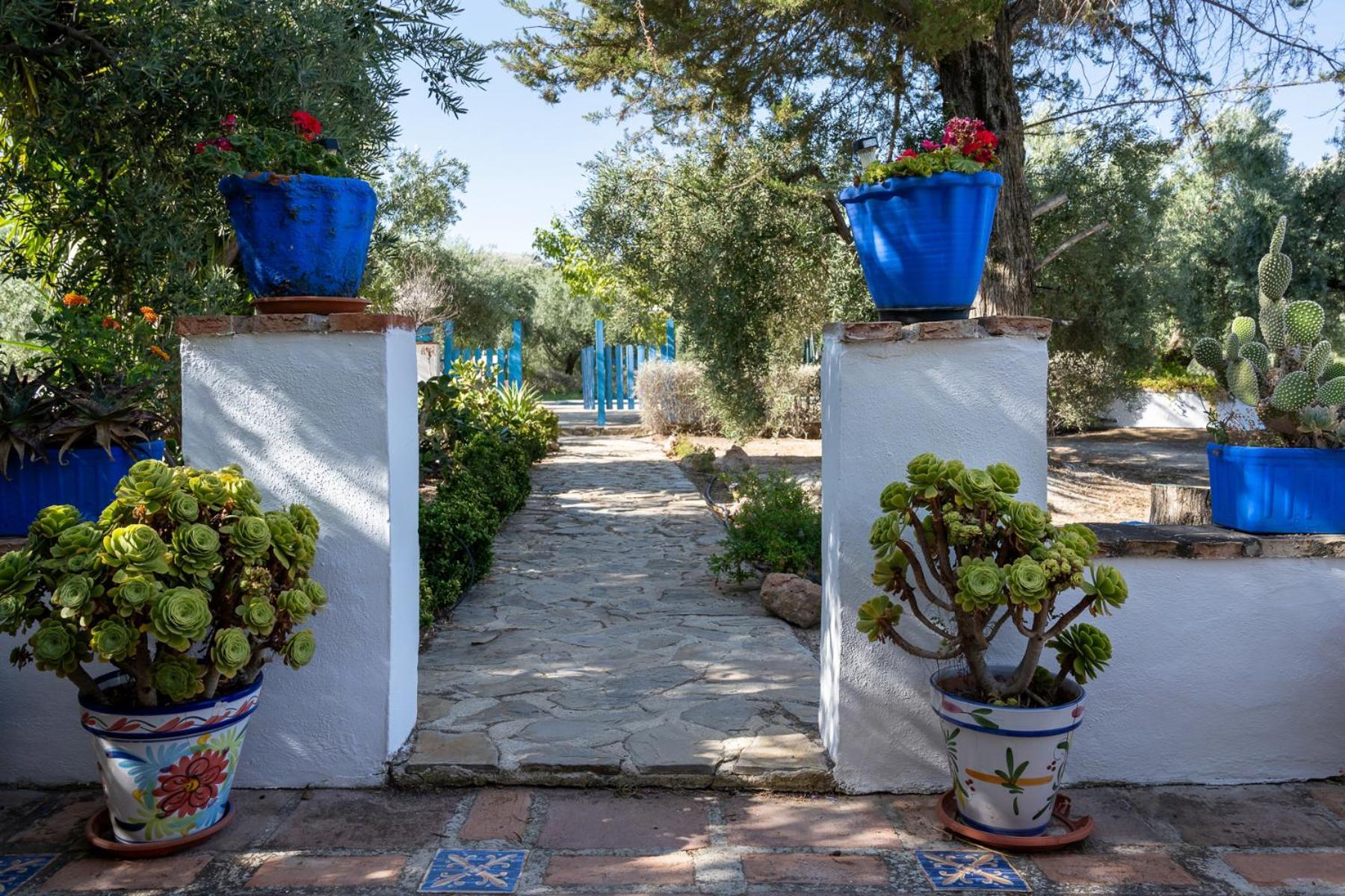 Agroturismo Ecologico El Cortijillo Luque Dış mekan fotoğraf