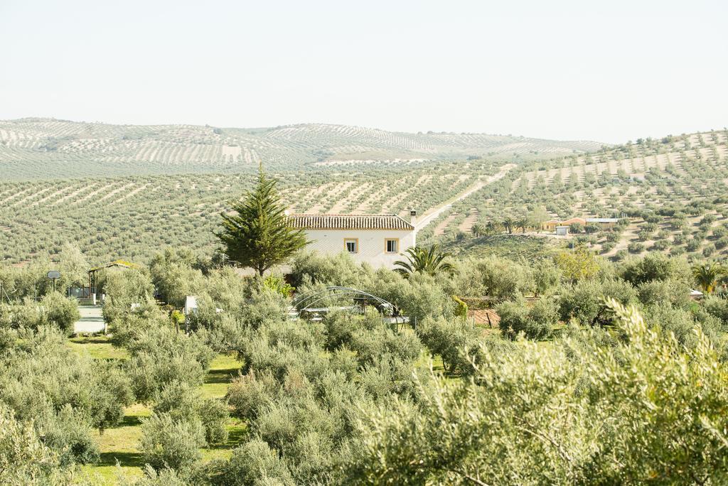 Agroturismo Ecologico El Cortijillo Luque Dış mekan fotoğraf