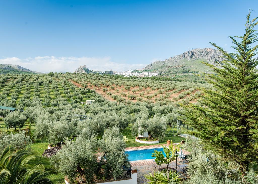 Agroturismo Ecologico El Cortijillo Luque Dış mekan fotoğraf