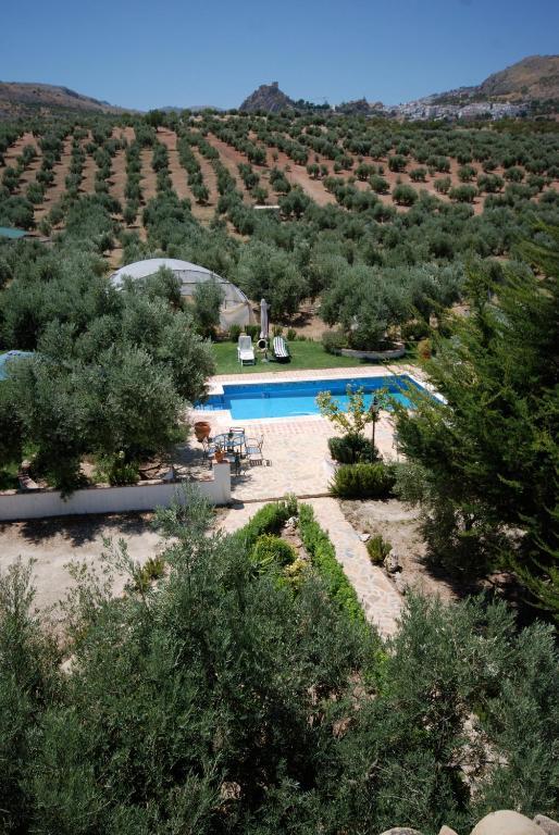 Agroturismo Ecologico El Cortijillo Luque Dış mekan fotoğraf