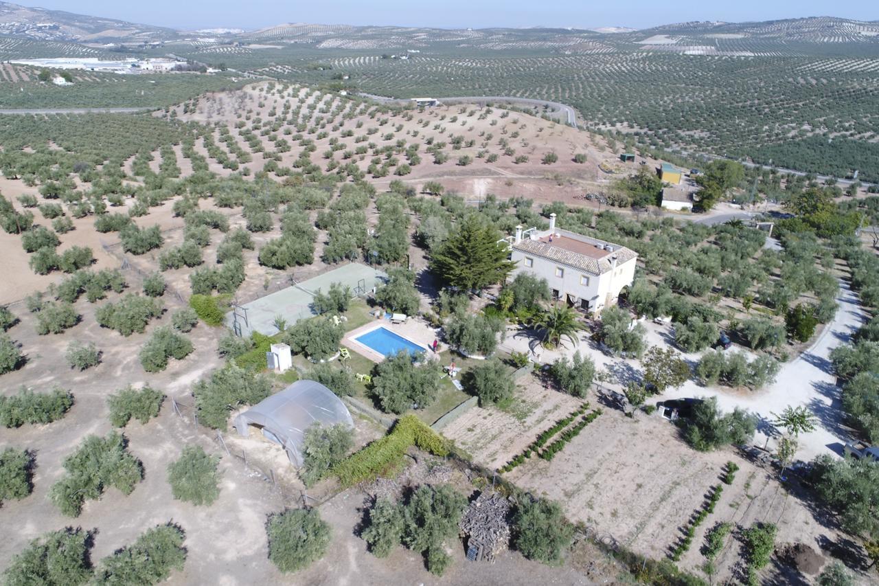 Agroturismo Ecologico El Cortijillo Luque Dış mekan fotoğraf
