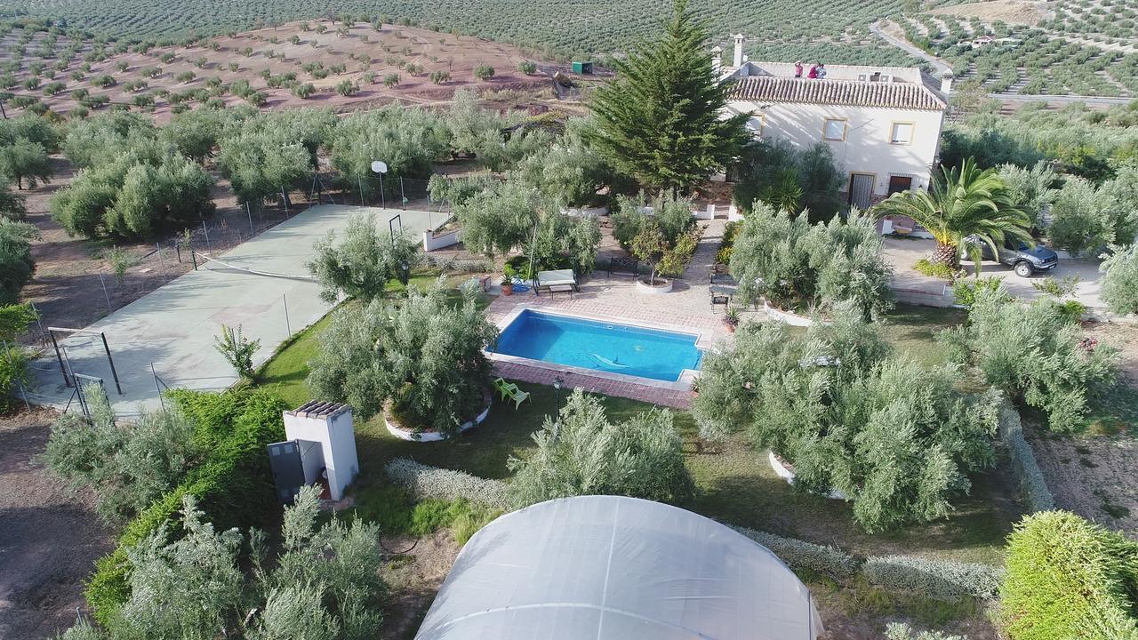 Agroturismo Ecologico El Cortijillo Luque Dış mekan fotoğraf
