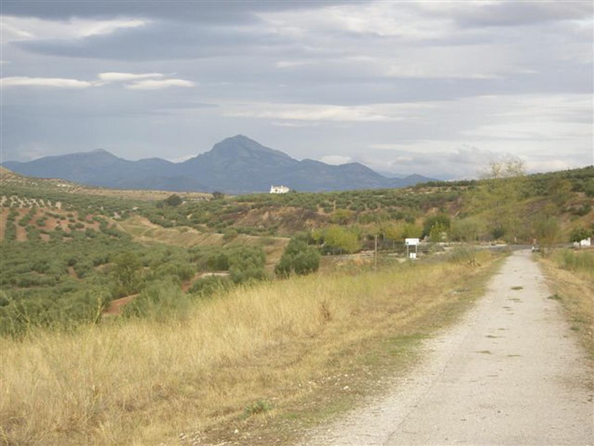 Agroturismo Ecologico El Cortijillo Luque Dış mekan fotoğraf